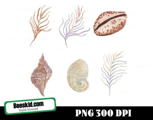 Seashell Watercolor Clipart, Summer Png Sublimation Download, Summer Png, Summer Fruits Png